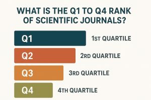 رنک q1 چیست
